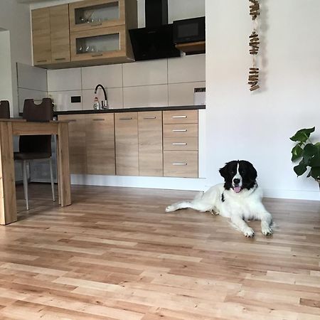 Apartmany A&Z Hořice na Šumavě Kültér fotó