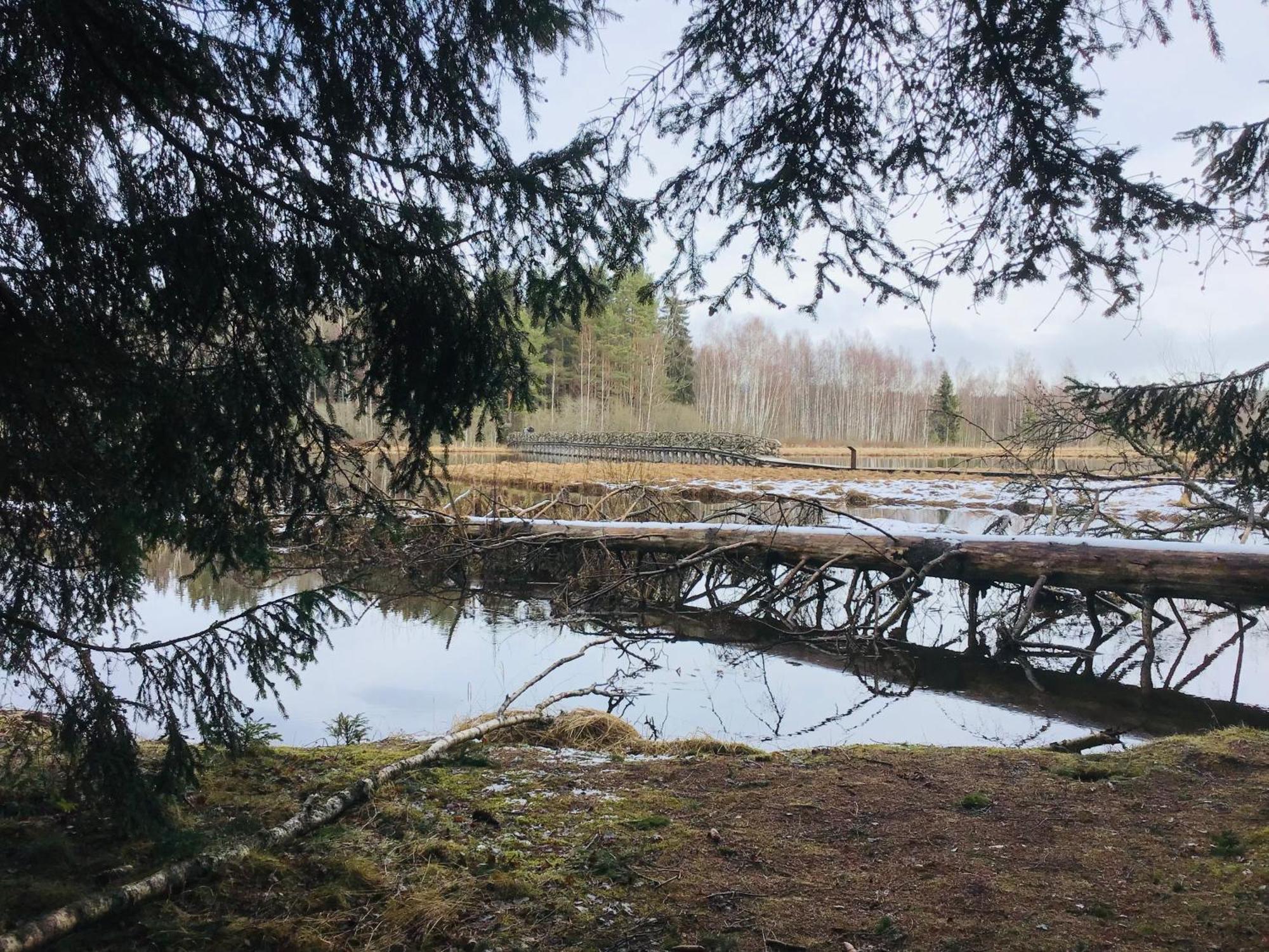Apartmany A&Z Hořice na Šumavě Szoba fotó